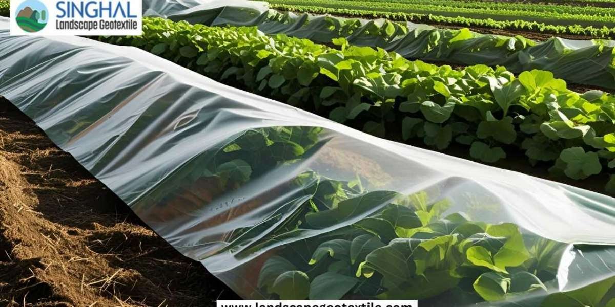 Weed Barrier Fabric: A Practical Solution for Long-Term Garden Success