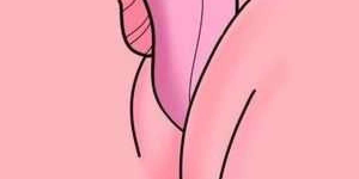 Book the Most Trusted Raipur Call Girls Service With Comfort