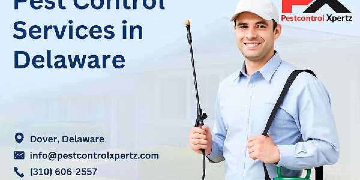 Top Benefits of Hiring Local Experts for Pest Control in Middletown